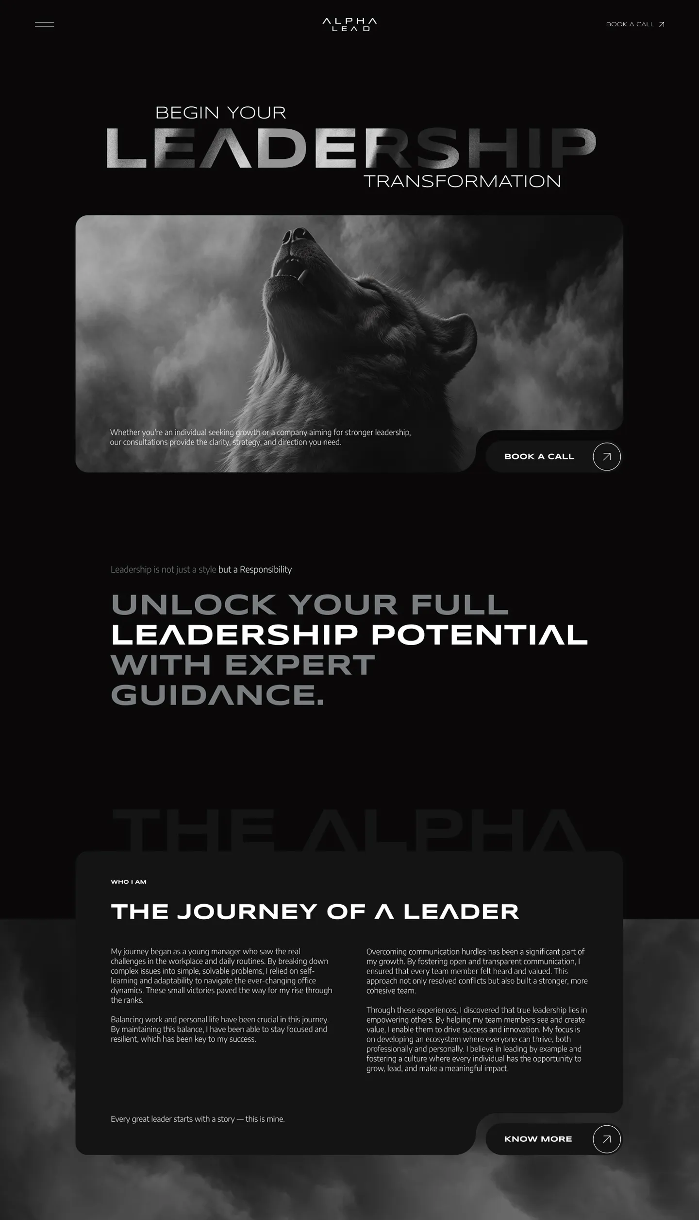 THE ALPHA LEAD work 3